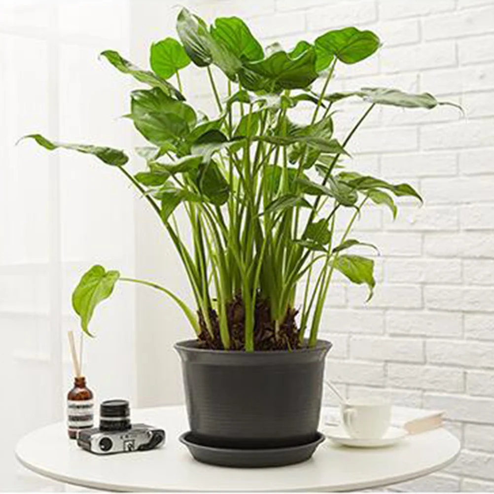 

1pc Plastic Flower Pot Round Simple Design Small Bonsai Planter Organizer Storage Holder Desk Dustbin Gray Black