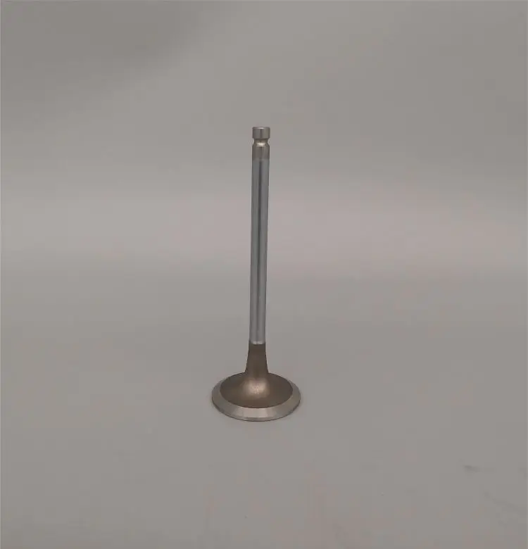 Diese Engine 4995554 Intake Valve 6BT 4BT Model High Performance Intake & Exhaust Valves & Valve Tappets