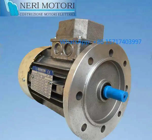 Италия двигатель NERIMOTORI импортированный двигатель NERI T71B4/T71C4 двигатель STERION