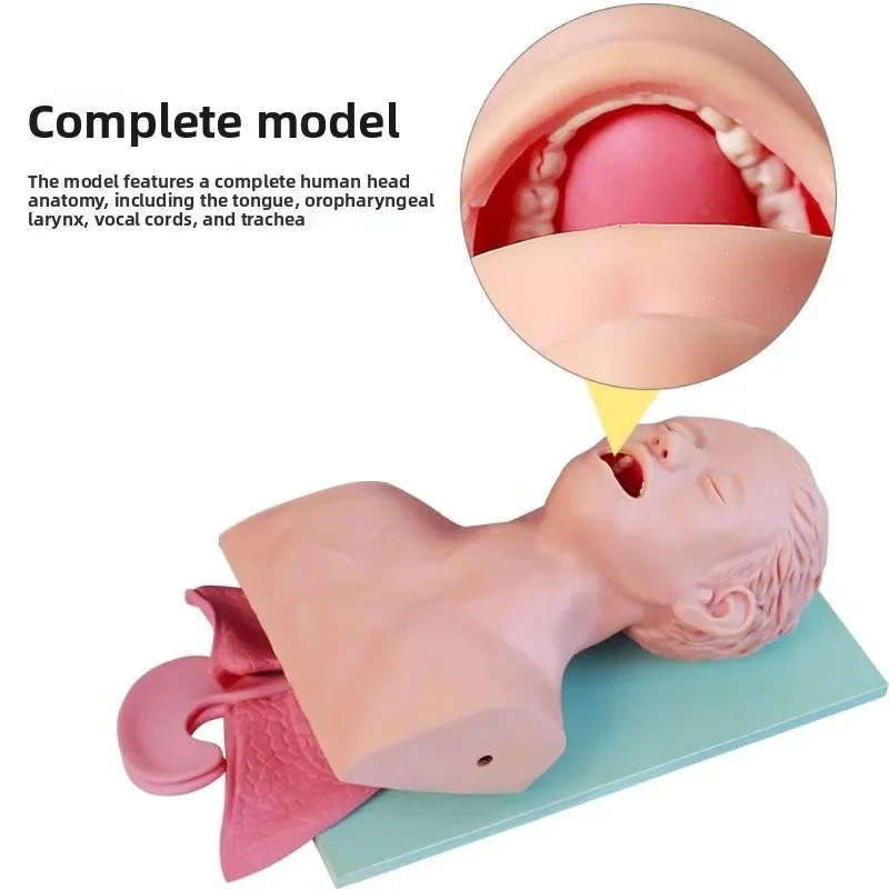 Advanced Electronic Intubation Model with Dental Pressure Alarm Adult Infant Airway Management Manikin for Oral Nasal Intubation