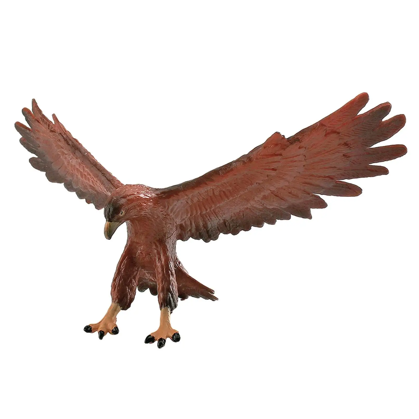 PVC Eagle Statue Model Realistic Bird Animal Decor Collectible Figurines Educational Toy for Living Room Desk
