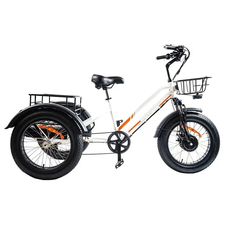 

48V 750W Motor 3 Wheels Electric Bicycle Bike Electric Tricycle Adults For Cargo Delivery