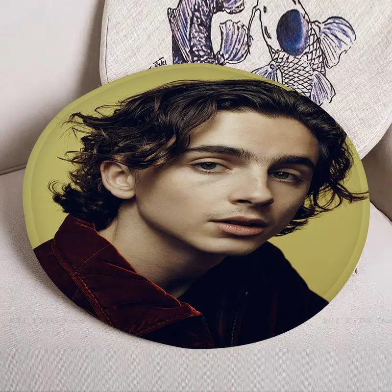 Timothee Chalamet Simplicity Multi-Color Seat Pad Household Cushion Soft Plush Chair Mat Winter Office Bar Sofa Cushion