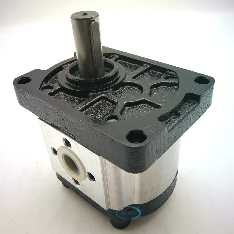 Imagem -04 - Bomba de Engrenagem Hidráulica Bomba de Óleo o Cbt-f304-fpr Cbtt-f304-f3p7 Cbtt-f310f3p7 de Alta Pressã