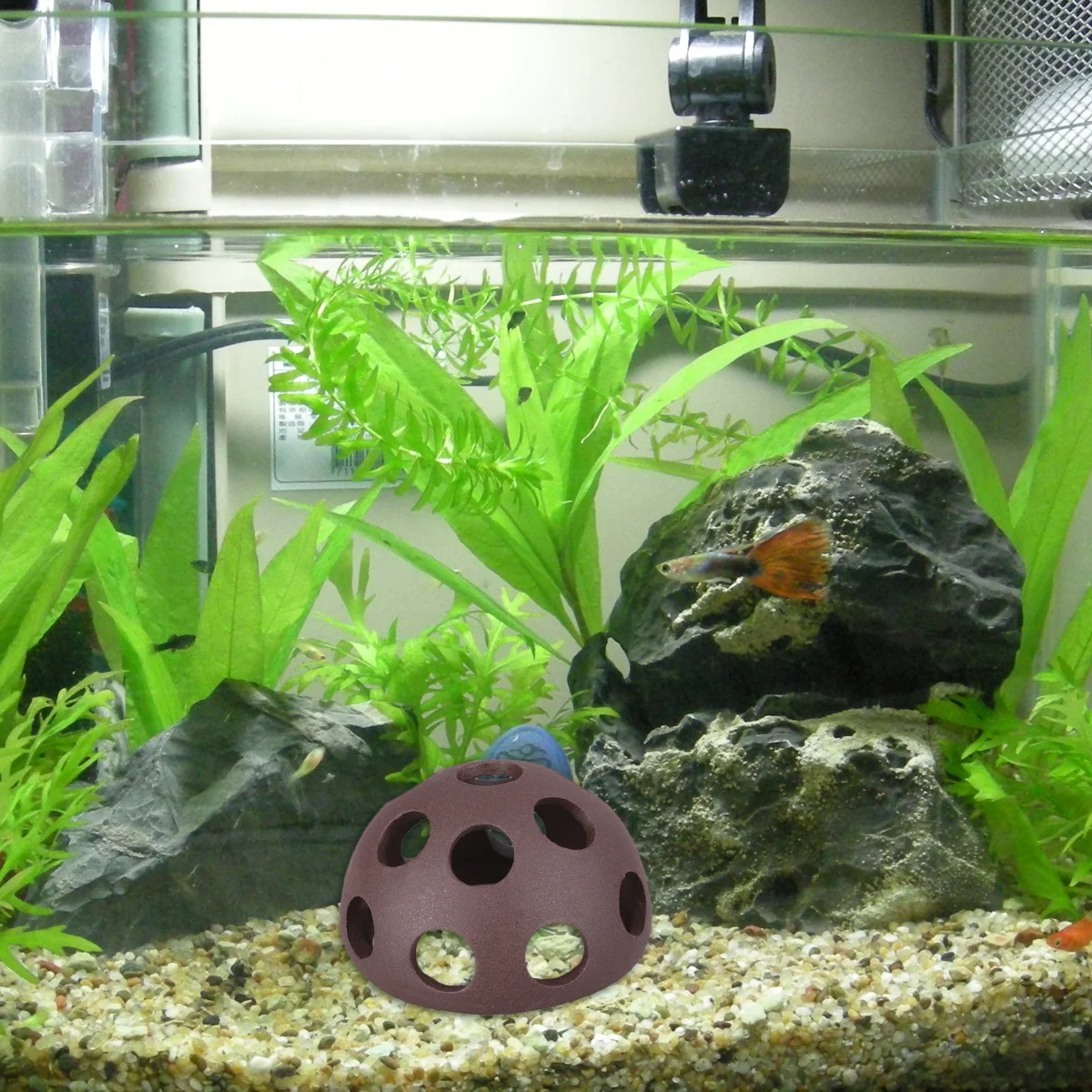 

2Pcs Shrimp Breeding Pot Clay Hemisphere House Surface Wide Interior Shelter for Fish Shrimp Aquarium Decoration