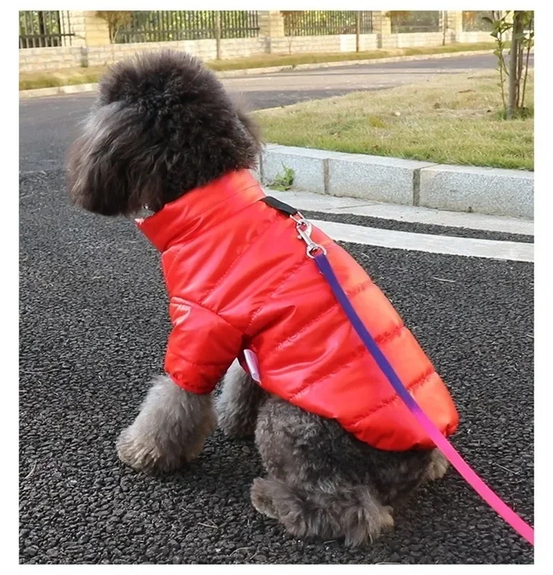 Warm Dog Clothes Winter Pet Down Jacket Dog Clothes for Small Dogs Chihuahua French Bulldog Cats Pet Costume Puppy Coats