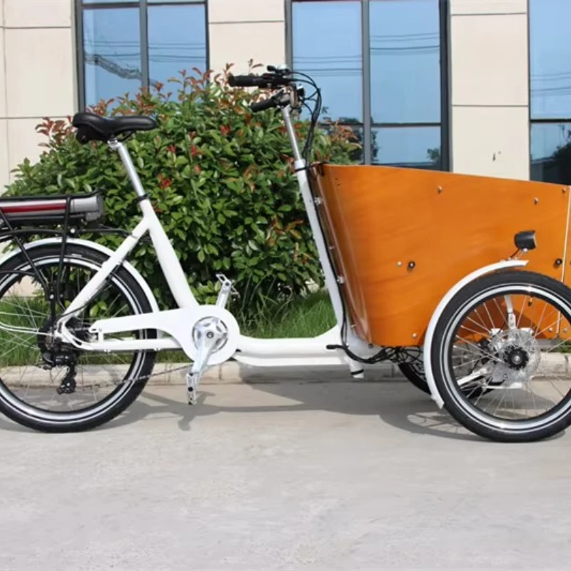 

European electric freight tricycle CE family bicycle electric freight bicycle tricycle electric freight tricycle