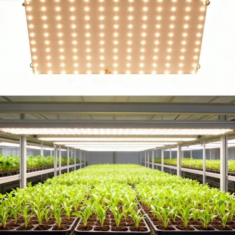 หลอดไฟ LED ปลูกต้นไม้ 3000W สำหรับพืช หลอดไฟฟิโตไลท์ สเปกตรัมเต็ม ควอนตัมบอร์ด ระบบปลูกพืชไร้ดิน สำหรับเรือนกระจก ดอกไม้ เมล็ดพันธุ์