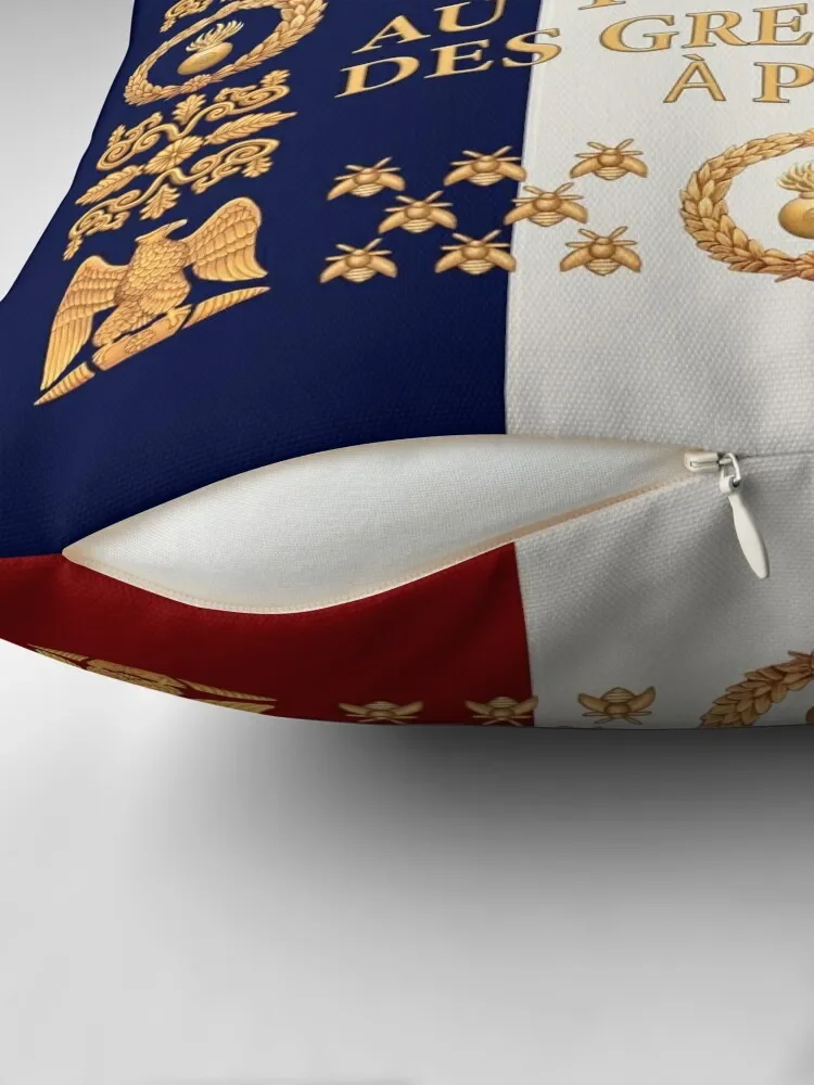 Napoleonic French 1er Garde Imperiale flag Throw Pillow Christmas Covers For Cushions Sofas Covers Marble Cushion Cover