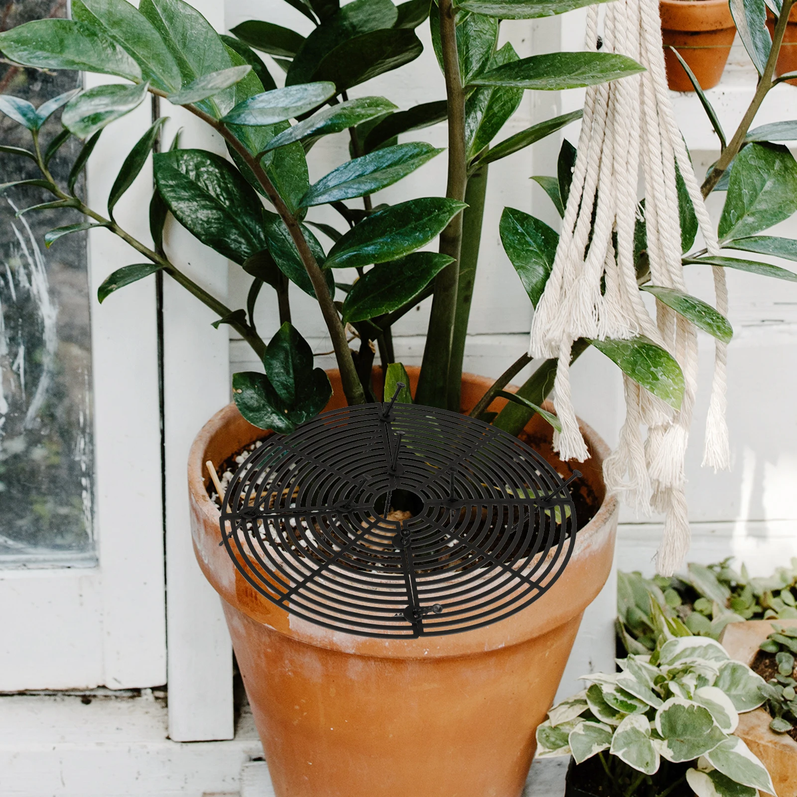 

2Pcs Plant Pot Grid Cover Perfect for Gardening Lovers Soil Protector for Plants Flowers Plant Pot Grid Flower Protector