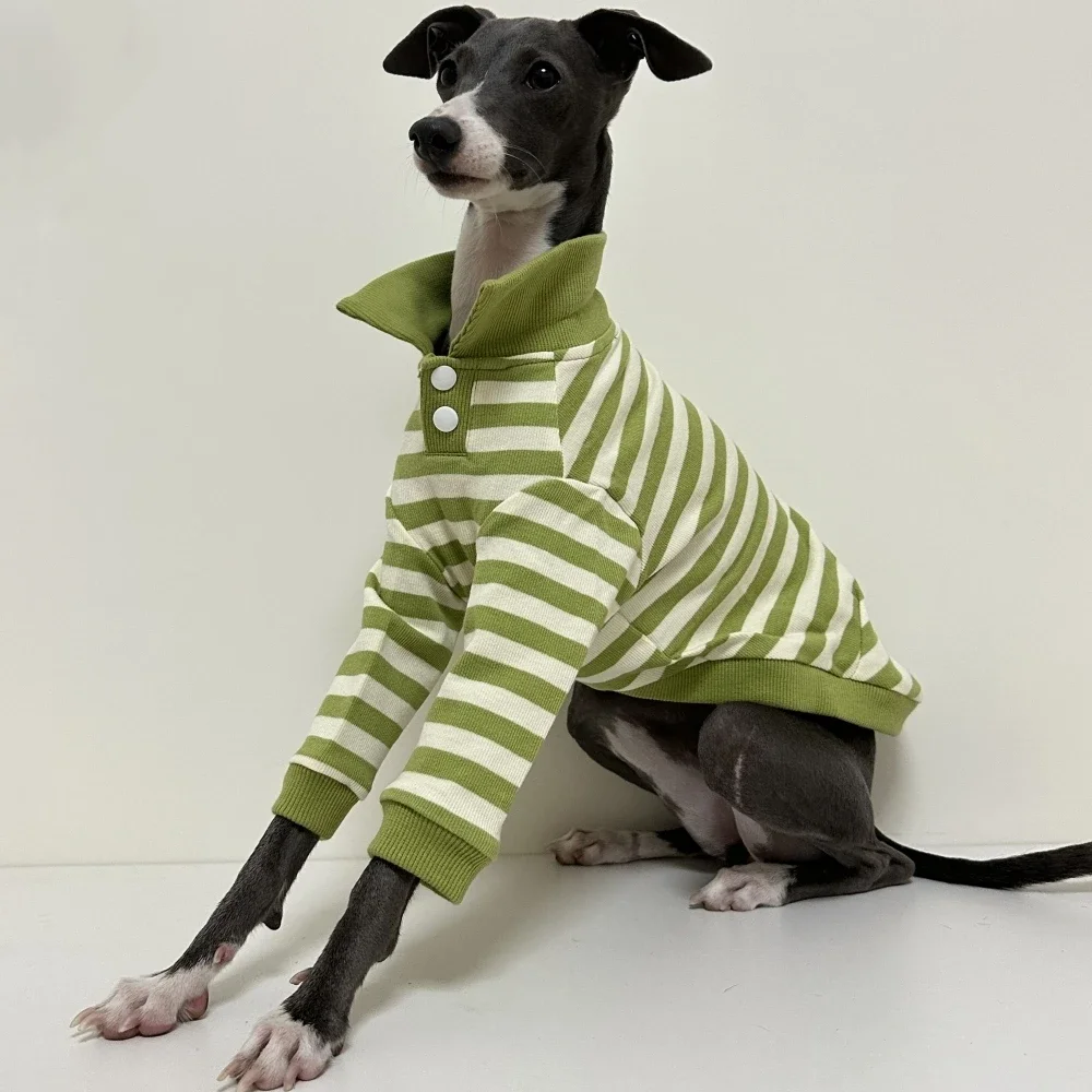 Green Striped Polo Shirt for Dogs in Spring Soft Elastic Cotton Coat for Bedlington Italian Greyhound Soft Loungewear in Autumn