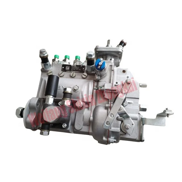 T832080129/T63211894A Fuel Injection Pump for Foton Lovol Agricultural Machinery & Equipment Farm Tractors