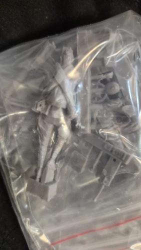 Buyer photo of this resin kit