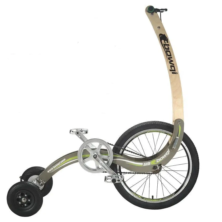 New Sports Tricycle Creative Personality Fitness Leopard Riding Sports Car Standing Riding Tricycle