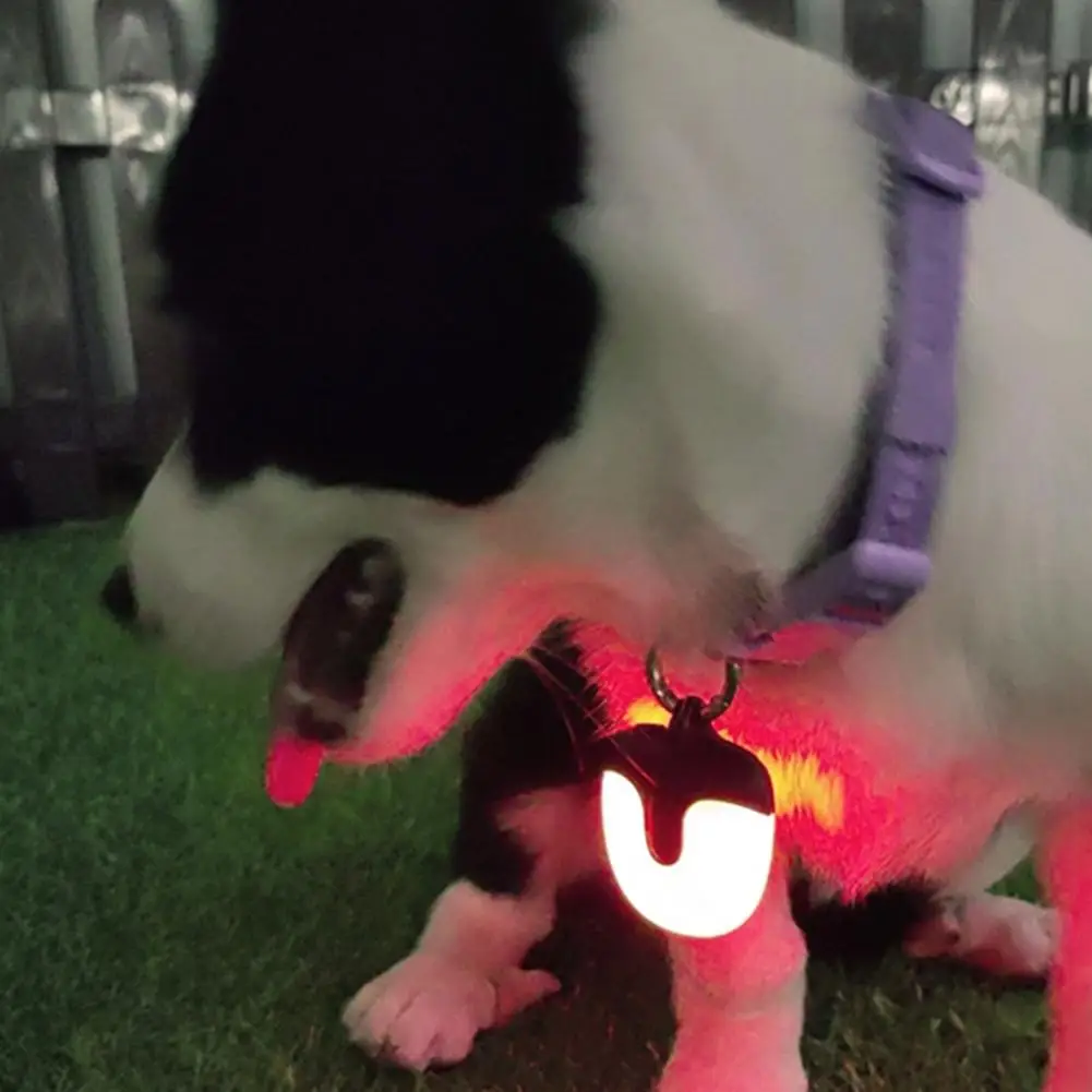Rainproof Dog Collar Light Buckle Design Dog Collar Light Waterproof Usb Rechargeable Dog Collar Light 360 Degree for Night