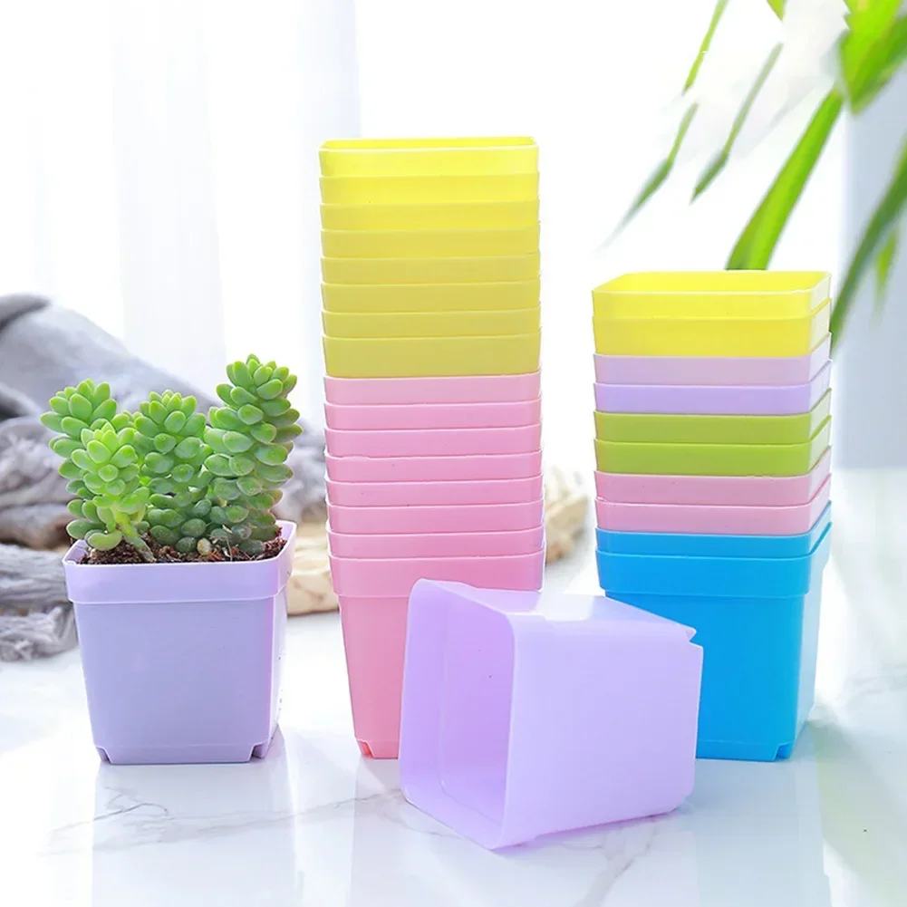 Fashion 10 PCS Plastic Flower Pot Colorful Succulent Flower Pot -SeedlingSmall Square Pot 5.5cm Pot Basin Small Square Container