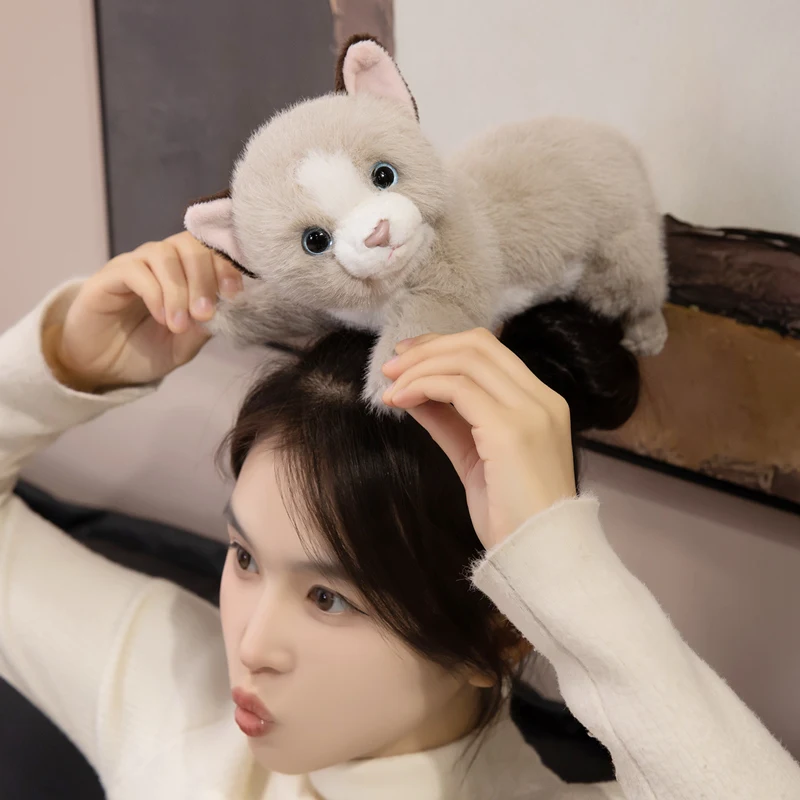 35 سنتيمتر Kawaii القط ألعاب من نسيج مخملي وسادة لينة محشوة الحيوان القط بلوشي دمية عيد ميلاد هدية الكريسماس للأطفال ديكور المنزل #5