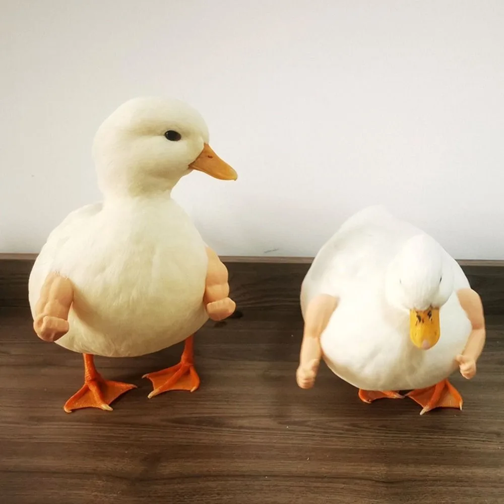 ของเล่นแขนไก่ต่อสู้สุดฮา แขนฮัลค์ยักษ์ แขนกล้ามเนื้อเทียม ของเล่นแปลกใหม่ แขนไก่เทียม สำหรับงานปาร์ตี้ธีมสัตว์เลี้ยง