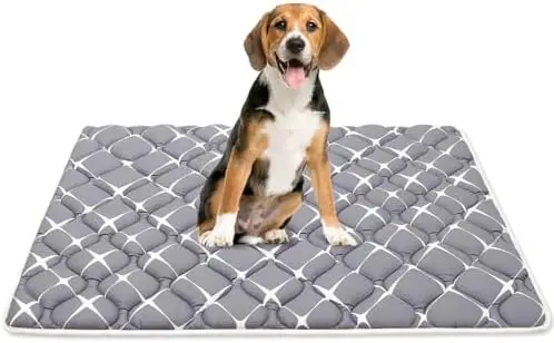 

Коврик для собачьей будки Bubble Bear - мягкий, моющийся, противоскользящий коврик для собак малых и крупных пород, темный цвет, скрывающий пятна (36"x23")