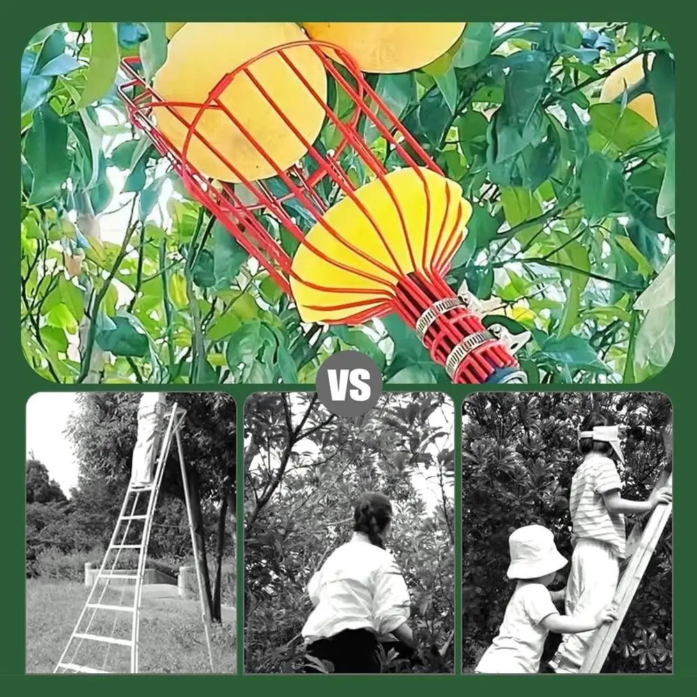 높은 과일을 수확할 수 있는 바구니가 달린 텔레스코핑 수확봉: 아보카도, 도토리, 레몬, 배, 망고