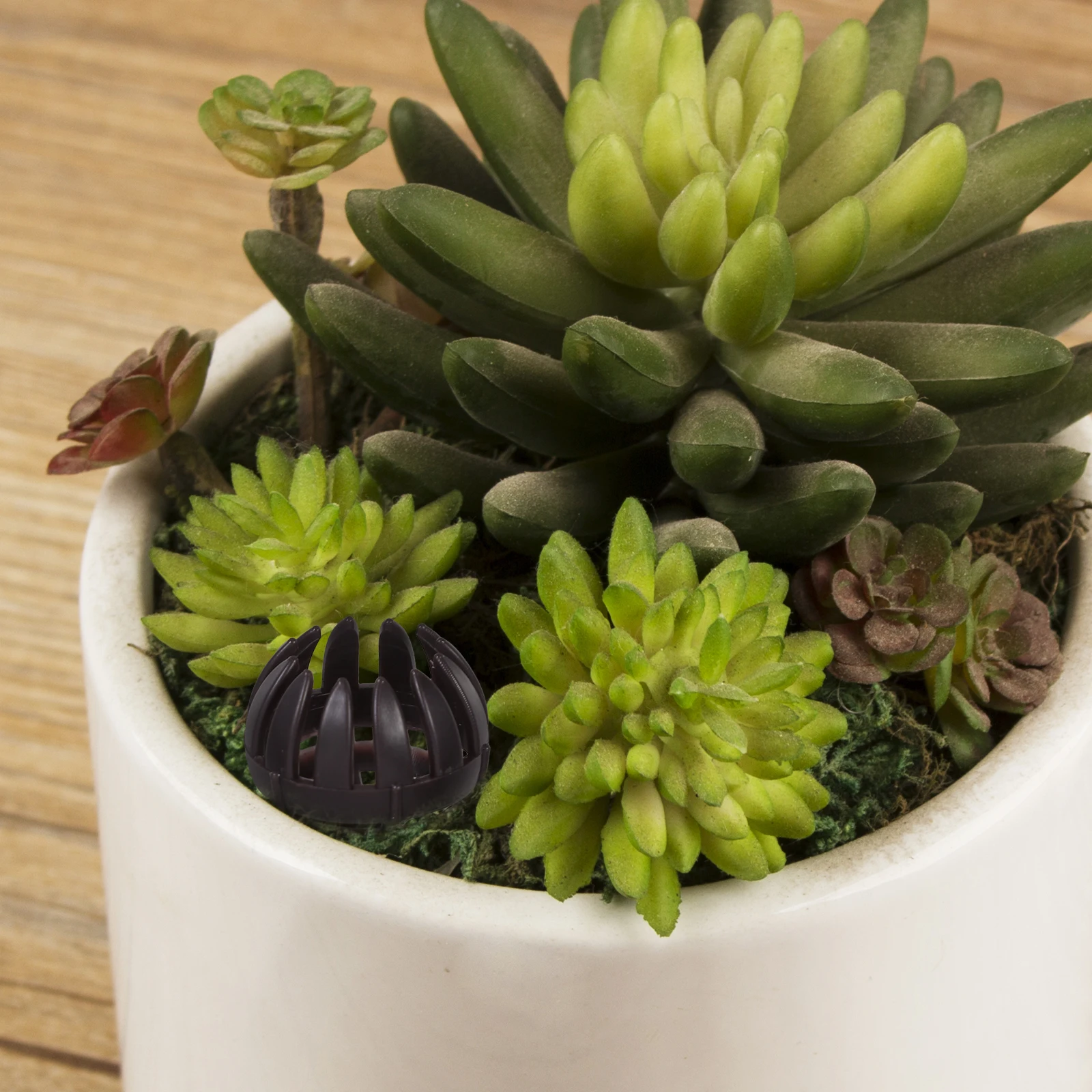 

20pcs Bonsai Box Plastic Mesh Fertilizer Basket For Slow Release Fertilization Abs Material Durable Fertilizer