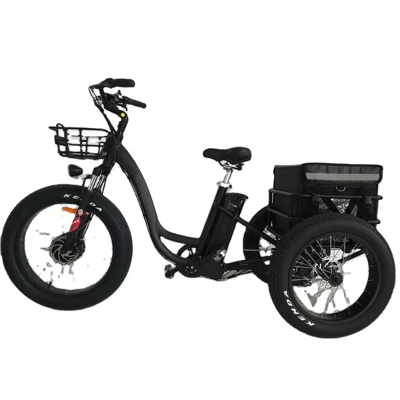 Europe Electric Tricycle Motorcycle Fat 3 Wheel Cargo Bicycle E Trike for Cargo Delivery