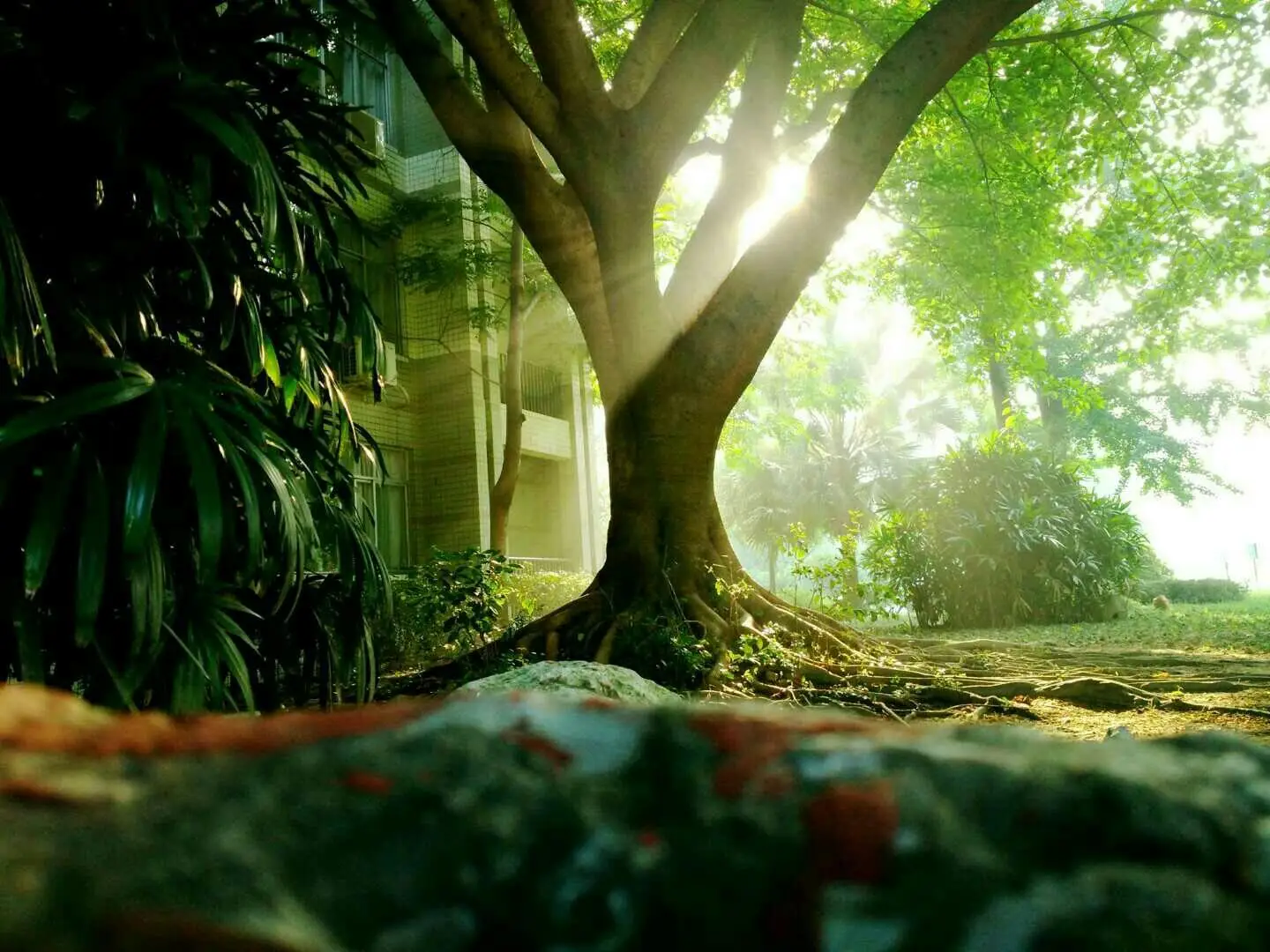 

FOR MJX Hyper Go 10303 10304 Metal Steering Cup Hub Carrier Steering Assembly Swing Arm Set 1/10 RC Car Upgrade Parts Accessorie