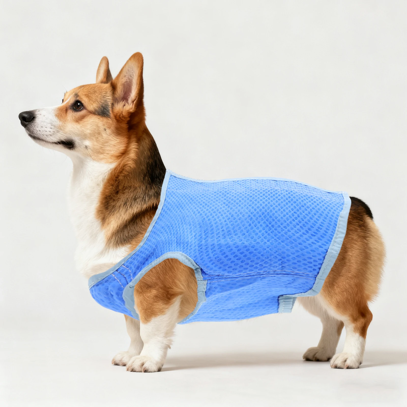 

Dog Cooling Vest Pet Ice Cooling Mesh Harness Super Absorbent Soak Activated Comfortable Fit for Dogs S Blue