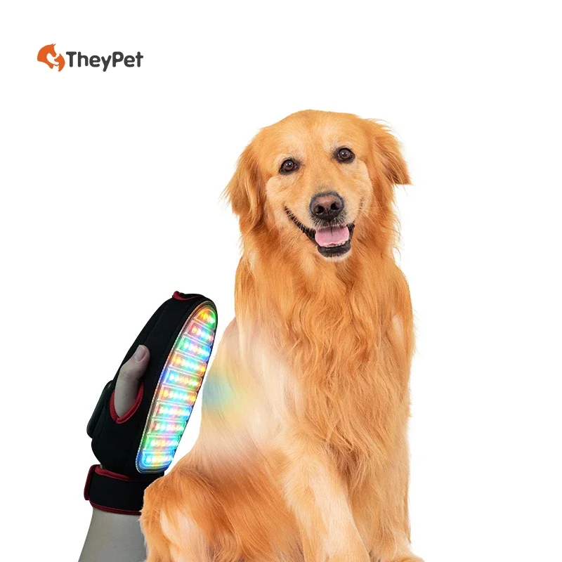 innovative horse dog red light therapy animal pain relief LED lights for pets tendon pains arthritis wounds recovery