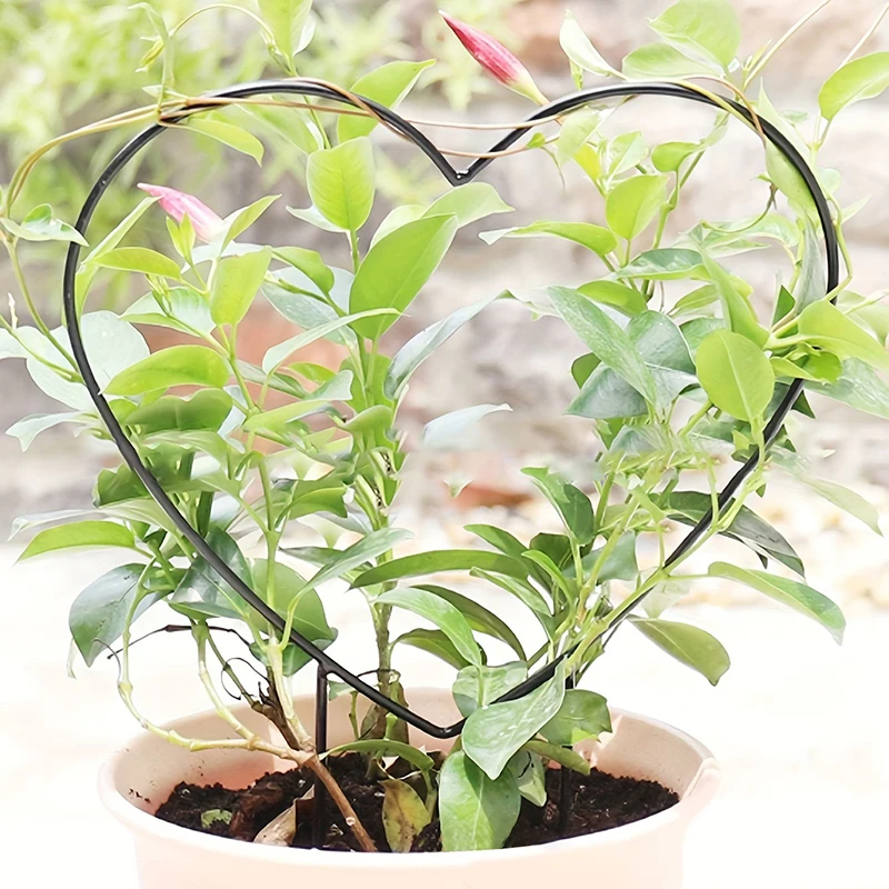 1PC Plant Trellis Support Frame Heart-shaped Vine Climbing Rack Iron Garden Plant Support Stake Stand Flower Garden Decor