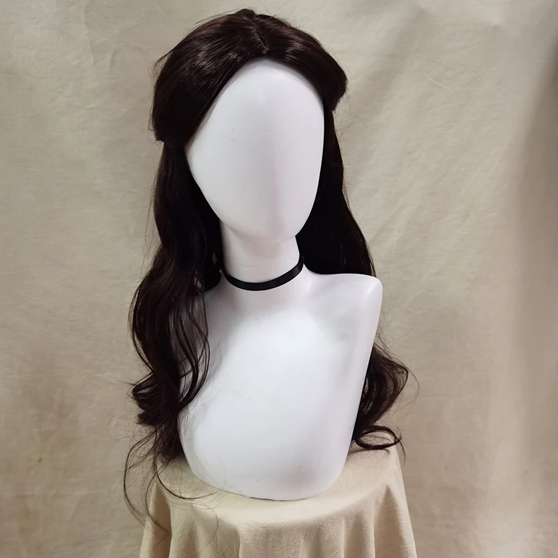 Anime Movie Avatar: The Last Airbender Katara Wig Long Wig Hair and Wigs Avatar Aang Wig Halloween Carnival Christmas Gifts