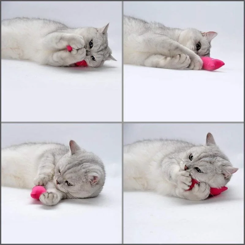 Molar Cat Toy Cute Cat Fun Interactive Plush Toy Pet Chewing Sounding Kitten Claws Thumb Pillow Pet Accessories