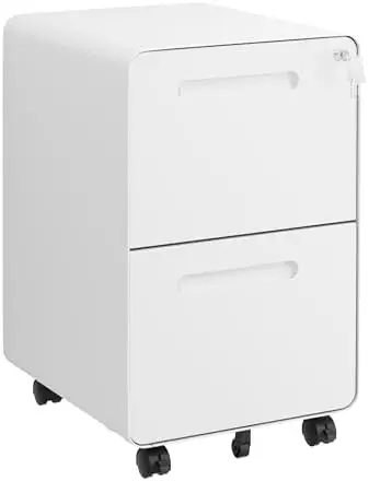 2 Drawer File Cabinet with Lock and 4 Keys, Mobile Metal Filing Cabinet, File Cabinets for Home Office, Under Desk