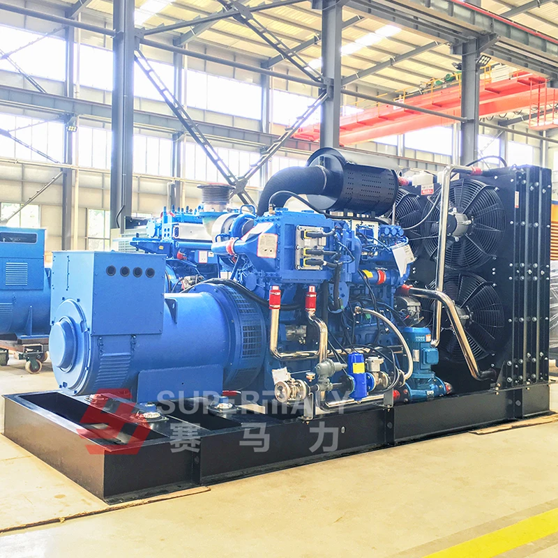 Benzingeneratoren 1 MW / 2 MW Biogas-Pflanzengenerator mit Behälter