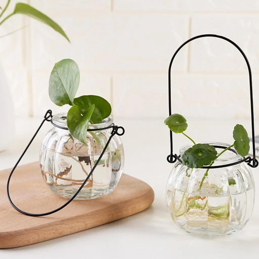 1x Pumpkin Shape Hanging Glass Vase Plants Flower Nursery PotHanging Plant Planter
