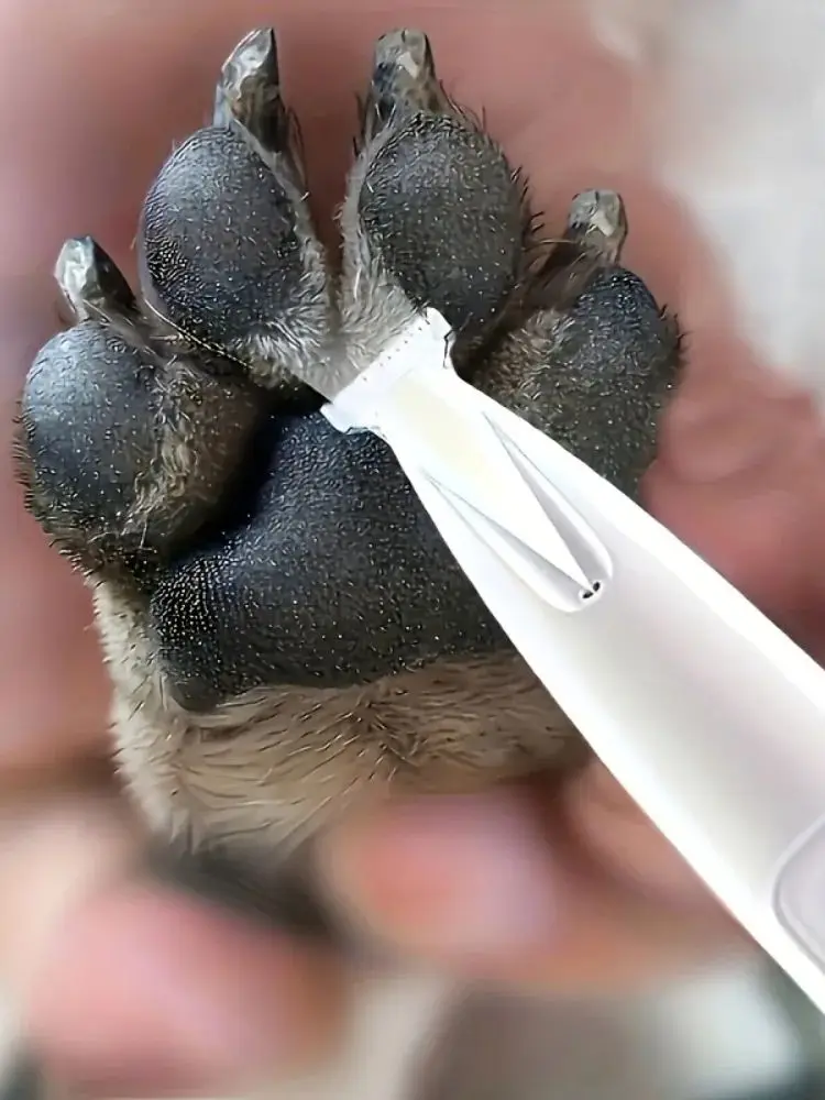 Wiederaufladbare Katzen- und Hundepflegeschere, USB-betriebener Pfoten-Trimmer, Professioneller Tierhaarschneider, Katzen- und Hundefußrasierer