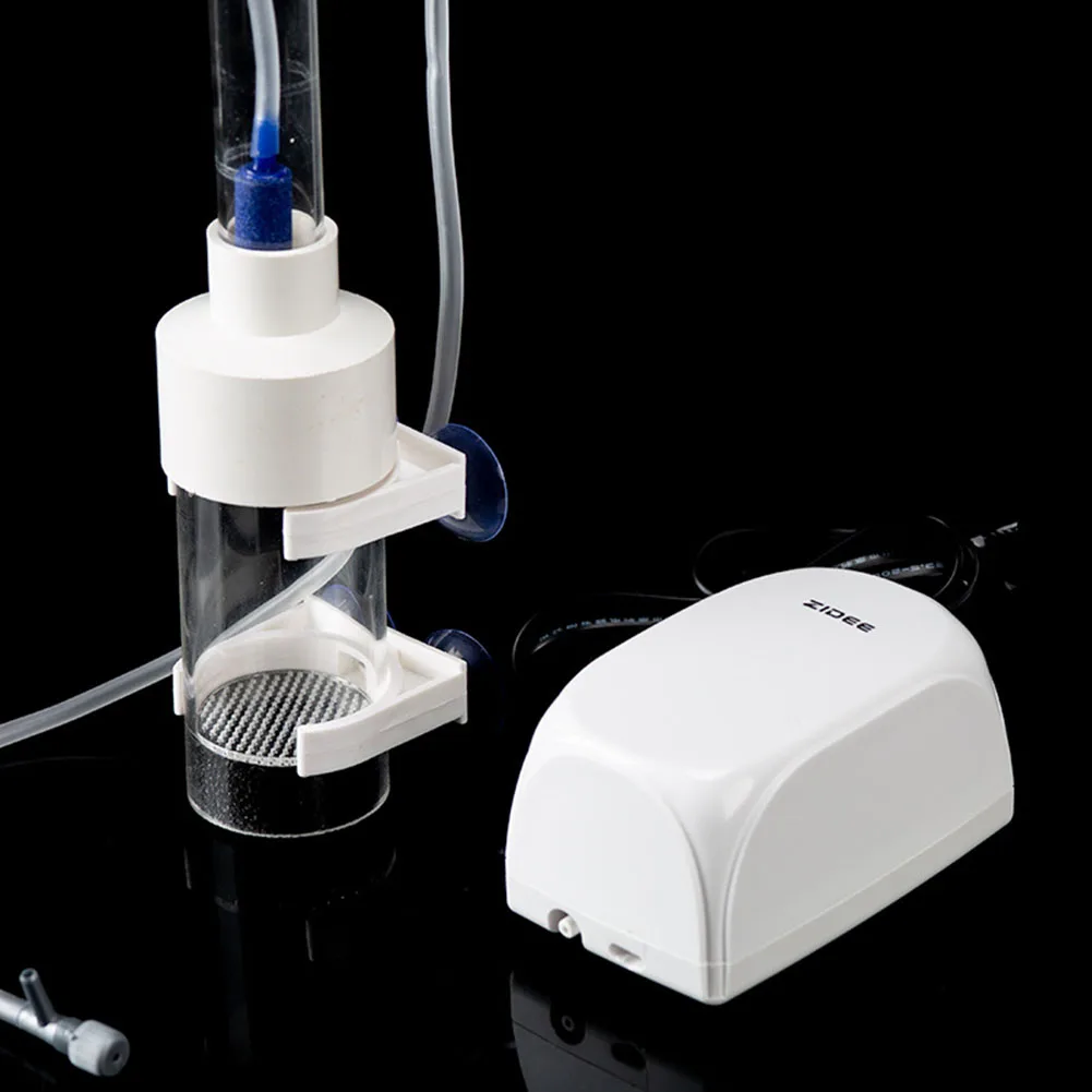 40 مللي متر بهلوان حاضنة الأسماك التفريخ الفم بروودينغ حوض السمك Cichlid بهلوان الأسماك البيض حاضنة بدلا من الفم تجنب الملحقات