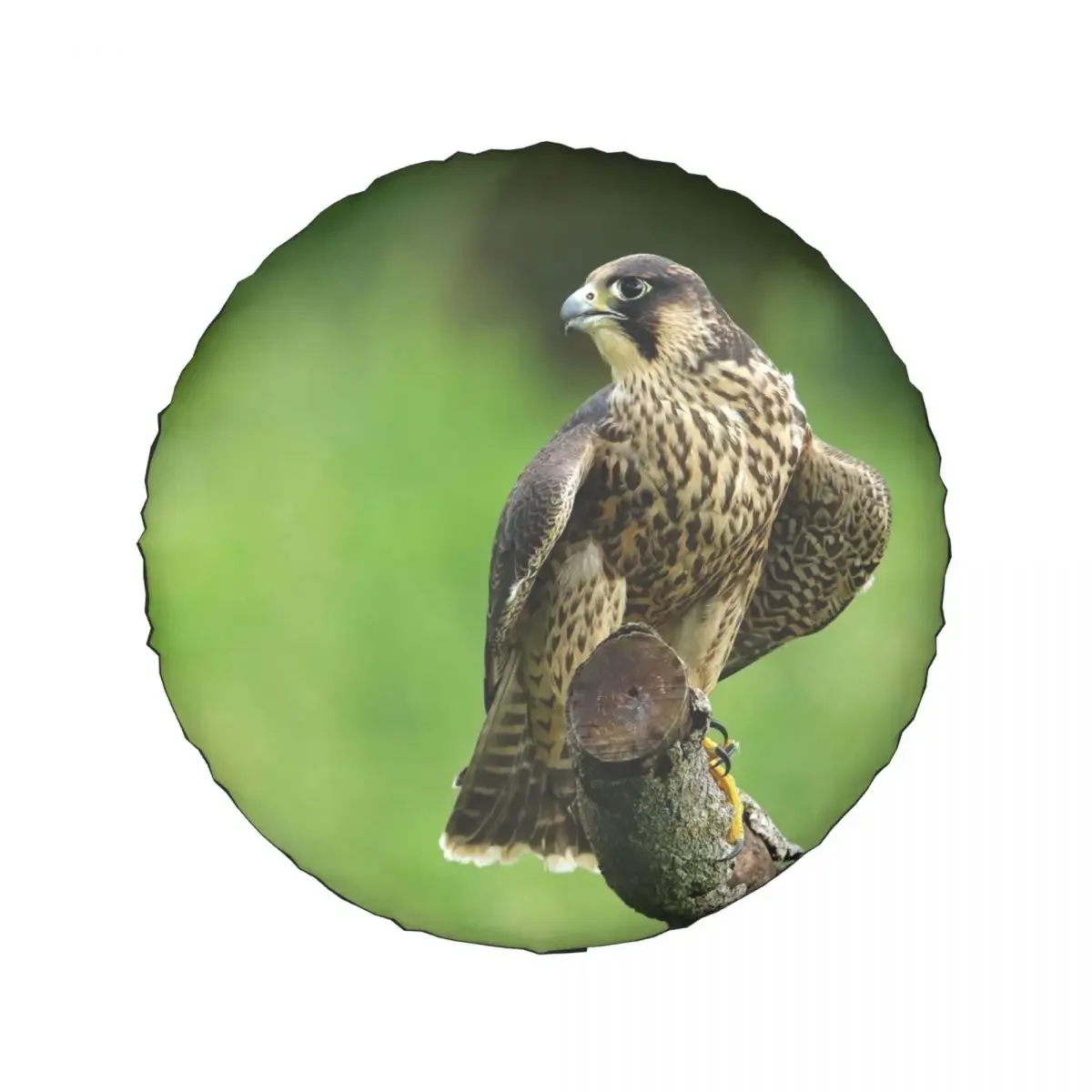 Custom Funny Peregrine Falcon Bird Spare Tire Cover for Mitsubishi Pajero 4WD 4x4 SUV Car Wheel Protector 14