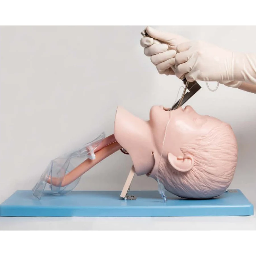 

Advanced Child Tracheal Intubation Training Model, Airway Management Simulator