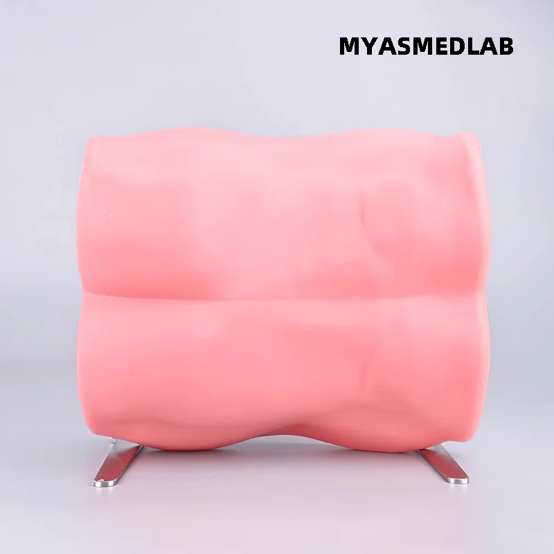 Intervertebral Foramen Endoscope Simulator with 30-Degree Adjustable UBE Training for Spinal Endoscopy