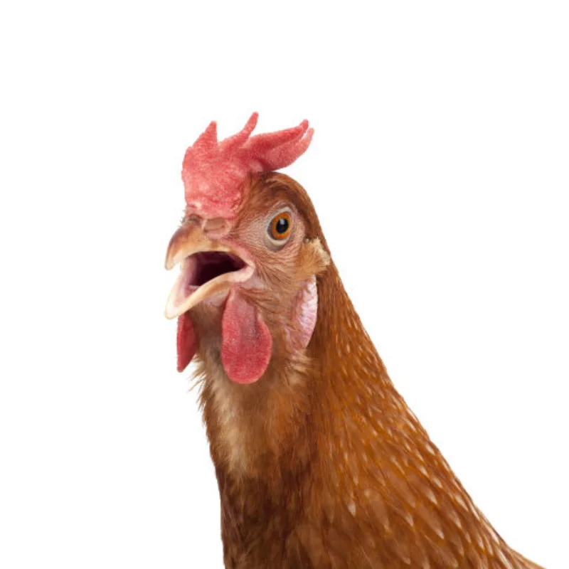 Metal Front Rear Bumper for Trxs TRX4 Axial SCX10 1/10 RC Crawler Car Upgrade Parts Accessories