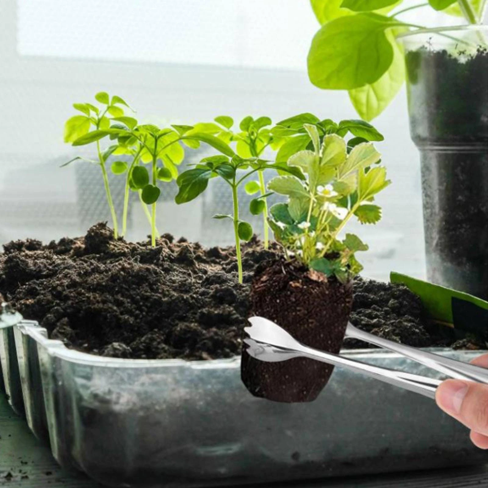 4 Pieces Toothed Transplanting Clamp with Tweezers Easy-Grip Precision Gardening Tweezers Set Horticulture Tools Long-Lasting