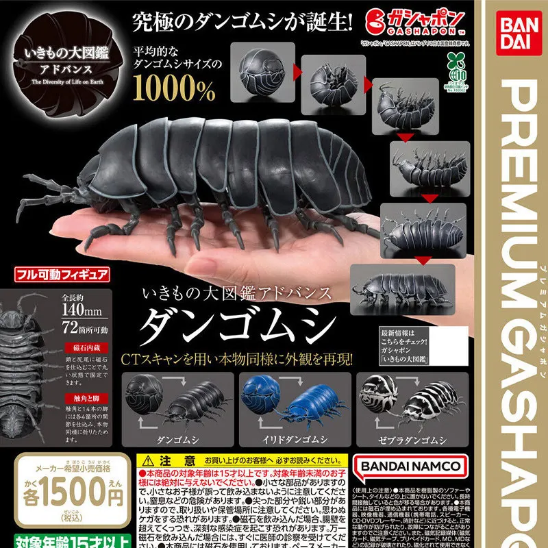 

In Stock Bandai Bio-Encyclopedia Pill Bug Woodlouse Realistic Cognitive Model Insect Decoration Collectible Ornament Toy Gift