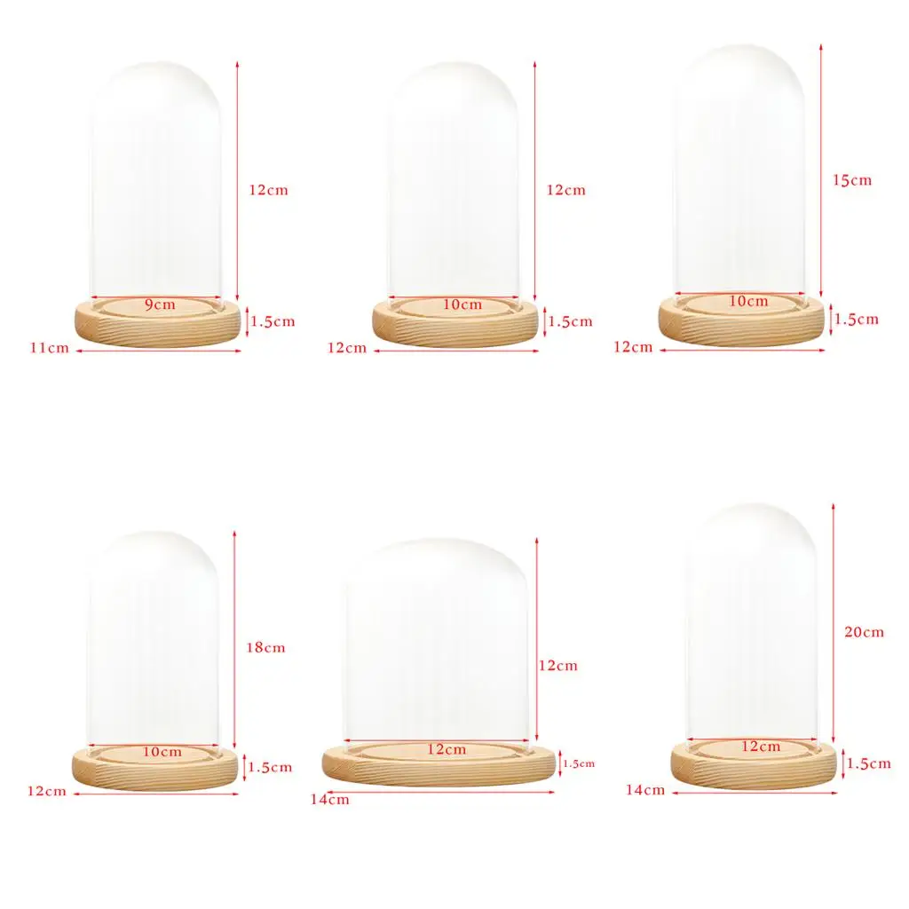 Clear Glass Display Dome with LED Wood Base Microlandscape Holder Glass Cover  for Birthday Gift Bedroom Home Decoration