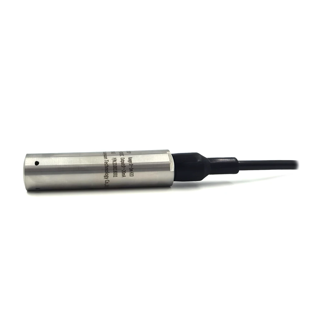 

BGT Customized 3.3V Output Hydrostatic Probe Submersible Water Transmitter Piezometer Liquid Level Sensor