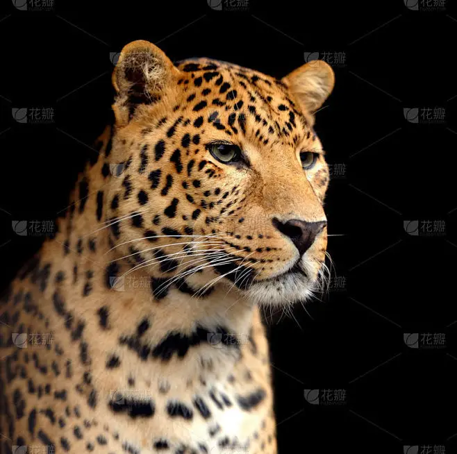 

Радиоуправляемая машина MN82T 1/12 4WD, профессиональная имитационная модель для скалолазания и спасения, 2.4G, электрическая, с дистанционным управлением, кран-манипулятор, игрушка-подарок LC79