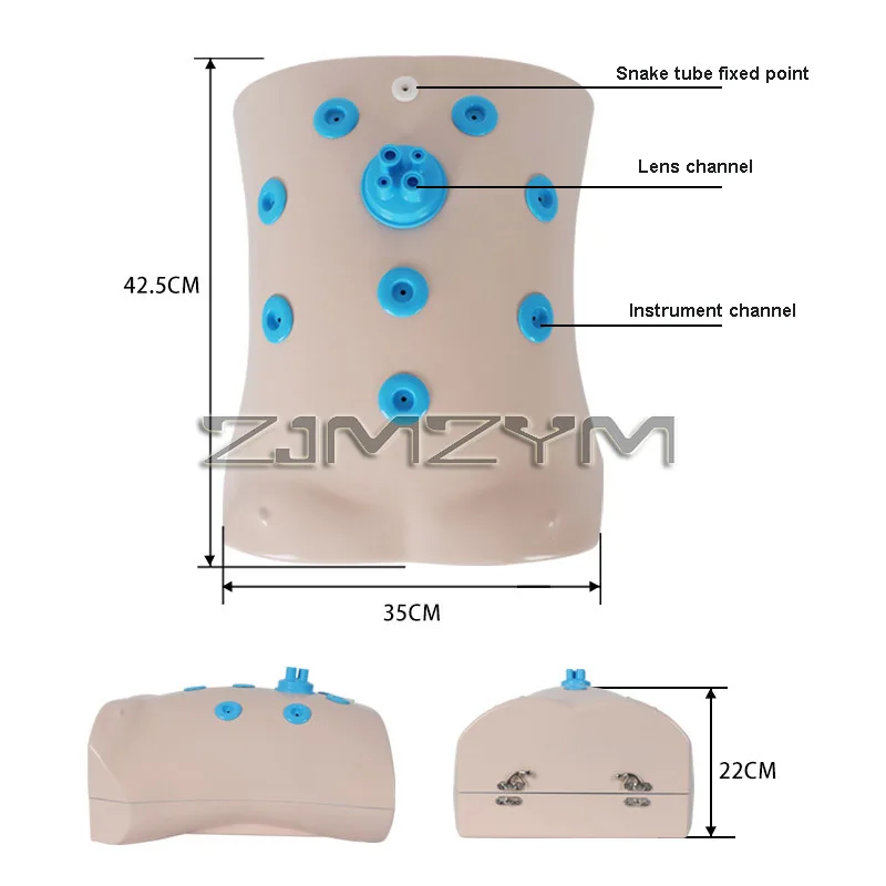 Simulated Belly Laparoscopic Trainer Simulator Training Box with 0 Degree Straight Rod with Light And 10 Training Modules