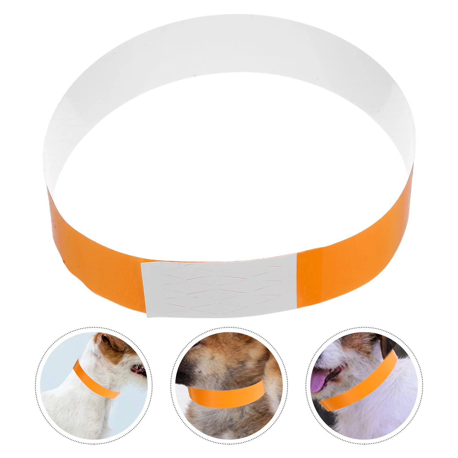 

100pcs Pet Birth Collar Whelping Dog Puppy Small Tags Name Id Litter Collars Durable Adjustable Easy Clean Puppy ID Bands Kitten