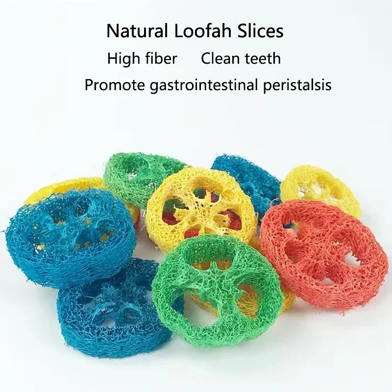 10/20Pcs Natural Loofah Slice Tooth Grinding Cleaning Chew Toy Small Pets Toys For Hamster Rabbit Grinding Products High Fiber