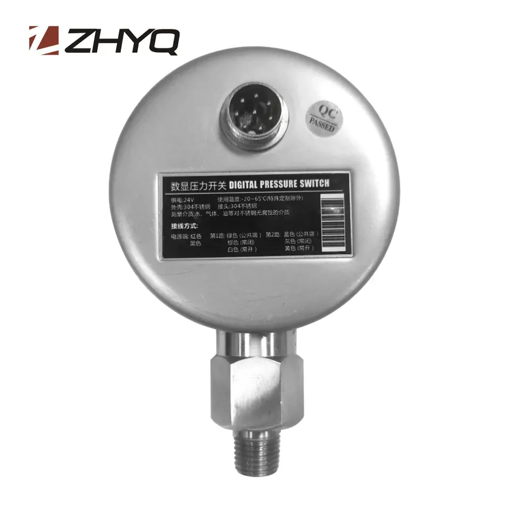 RS485 Output Remote Transmission Digital Hydraulic Pressure Gauge with Data Logger